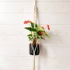 Kit DIY Suspension en Macramé pour plante en pot
